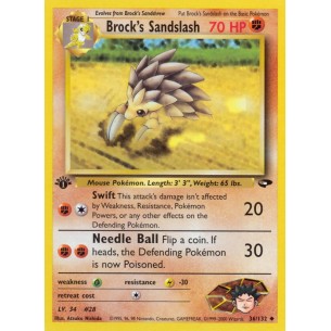 Brock's Sandslash