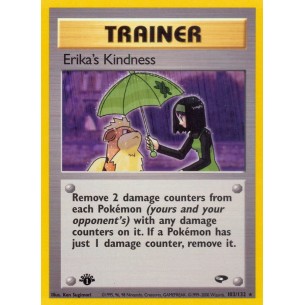 Erika's Kindness