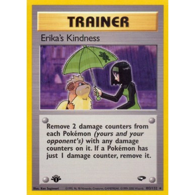 Erika's Kindness