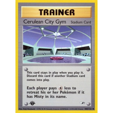 Cerulean City Gym