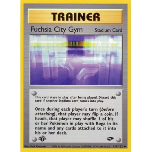 Fuchsia City Gym