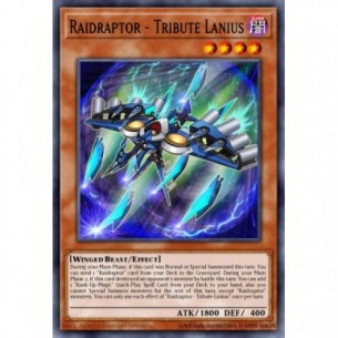 Raidraptor - Lanius Tributo