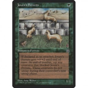 Joven's Ferrets