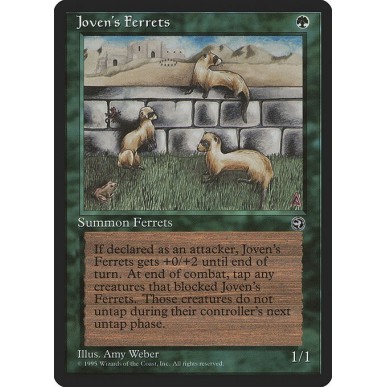 Joven's Ferrets