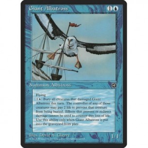 Giant Albatross