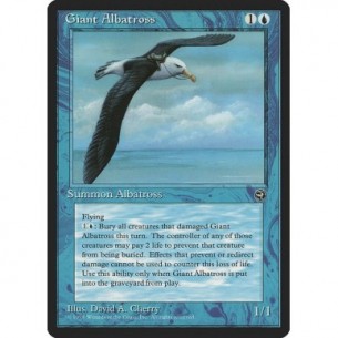 Giant Albatross