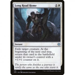 Long Road Home