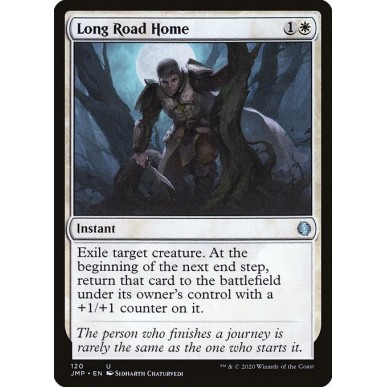 Long Road Home