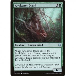 Awakener Druid