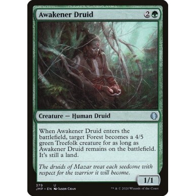 Awakener Druid