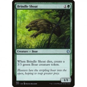 Brindle Shoat