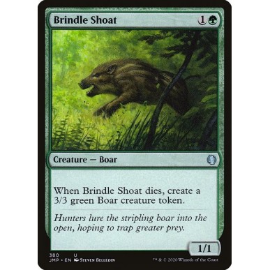 Brindle Shoat