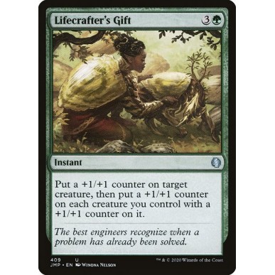 Lifecrafter's Gift