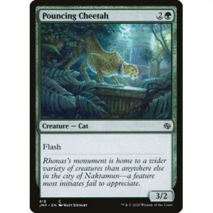 Pouncing Cheetah