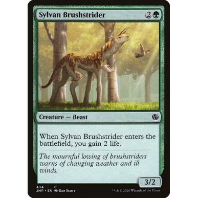 Sylvan Brushstrider