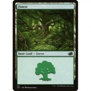 Foresta