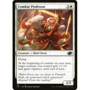 Professore di Combattimento