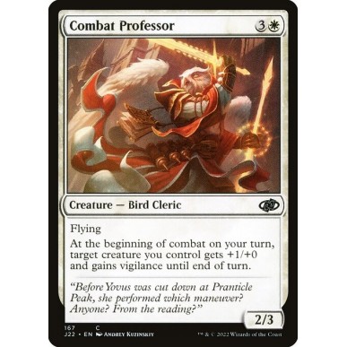 Professore di Combattimento