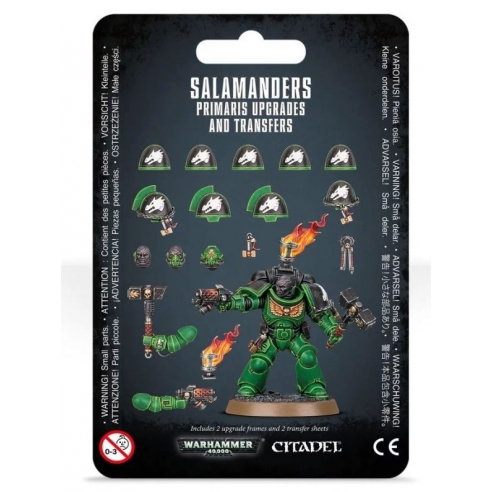 Salamanders - Dotazioni e trasferibili Salamanders