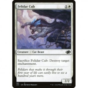 Cucciolo di Felidar