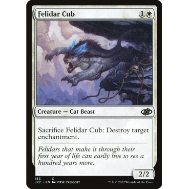Cucciolo di Felidar