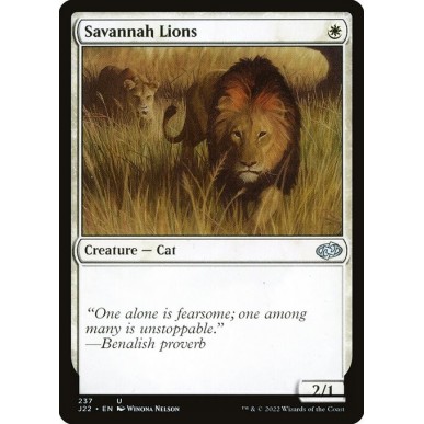 Leoni della Savana
