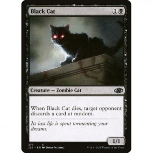 Gatto Nero