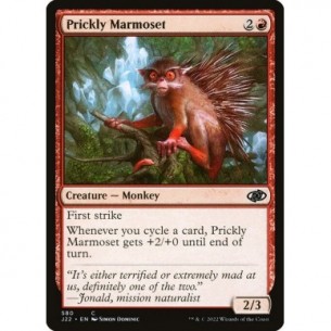 Marmosetta Pungente