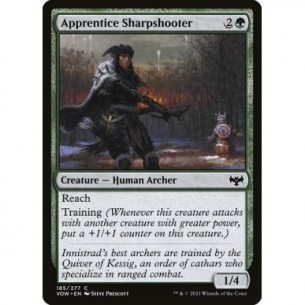 Apprendista Tiratrice