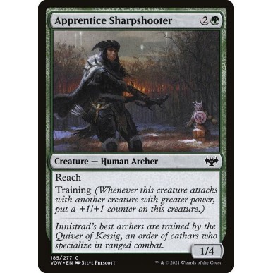 Apprendista Tiratrice