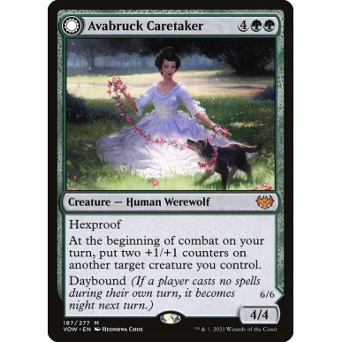 Avabruck Caretaker // Hollowhenge...