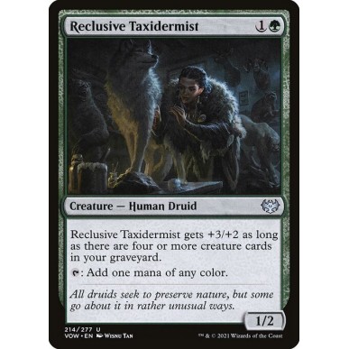 Tassidermista Solitaria