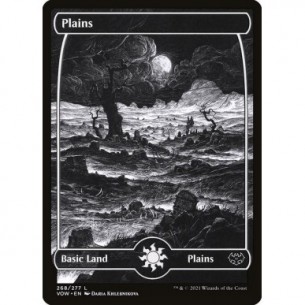 Plains