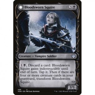 Bloodsworn Squire //...