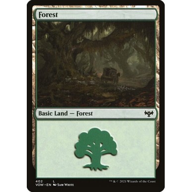Forest