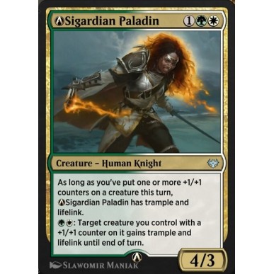 A-Sigardian Paladin