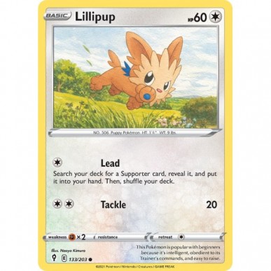 Lillipup