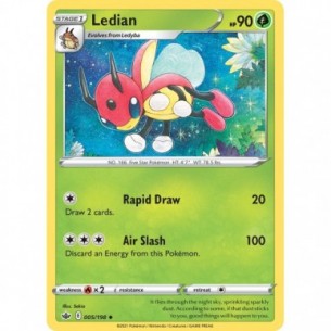Ledian