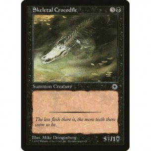 Skeletal Crocodile