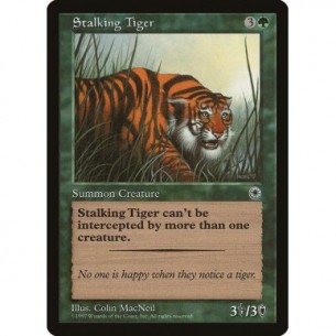 Stalking Tiger