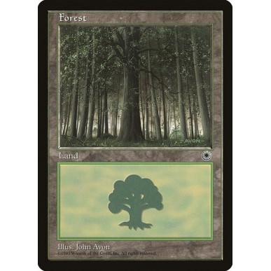 Forest