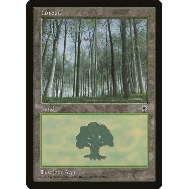 Forest