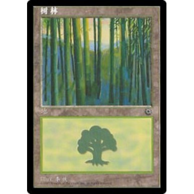 Forest