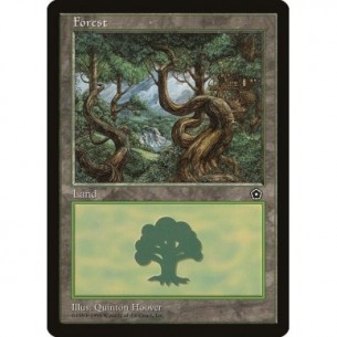 Foresta