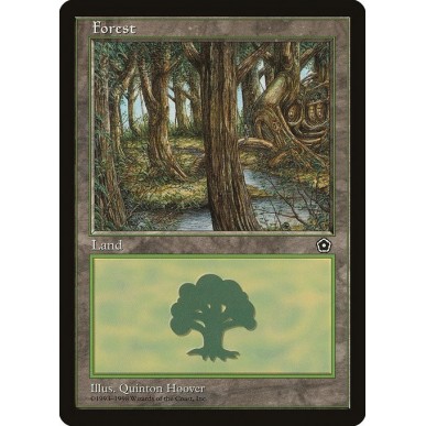 Foresta