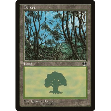 Foresta
