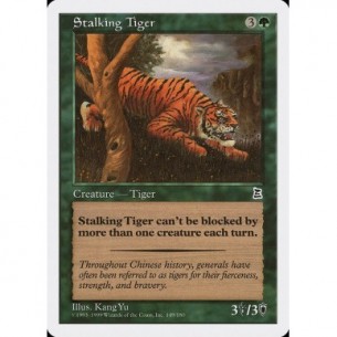 Stalking Tiger