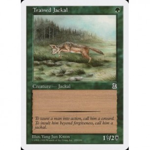 Trained Jackal