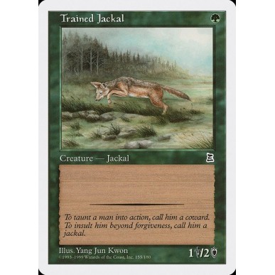 Trained Jackal