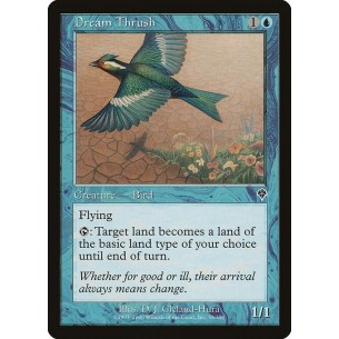 Dream Thrush